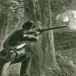 A Rebel Prowler Shooting a Union Picket Near Jefferson City, Missouri