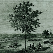 Camp Benton (St. Louis)
