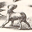 Federal Troops of Fr&eacute;mont&rsquo;s Army Foraging in Missouri