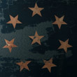Confederate First National 8-Star Flag